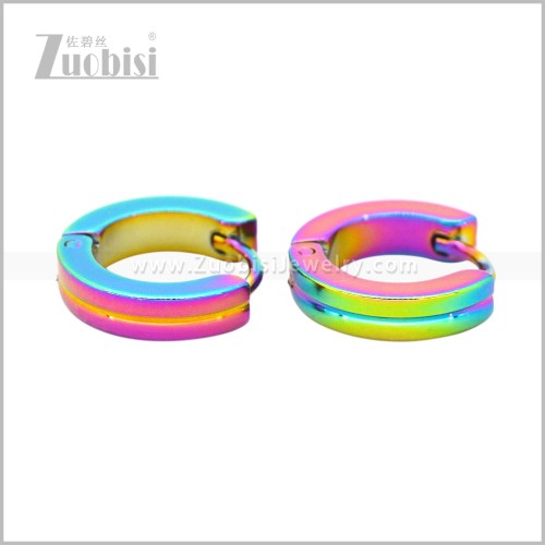 Stainless Steel Earring e003080C2