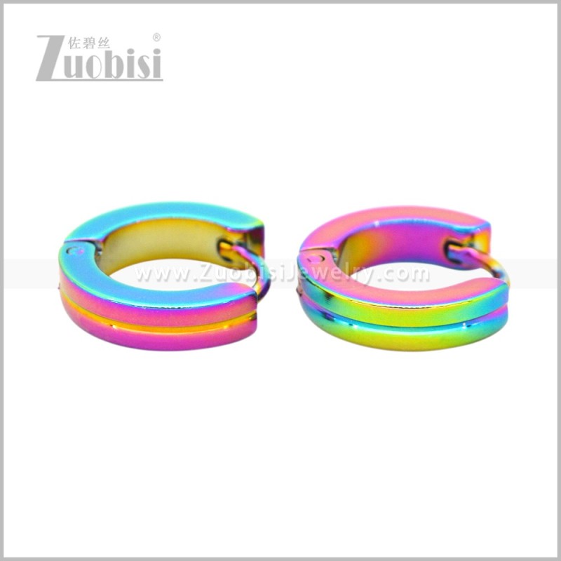 Stainless Steel Earring e003080C2