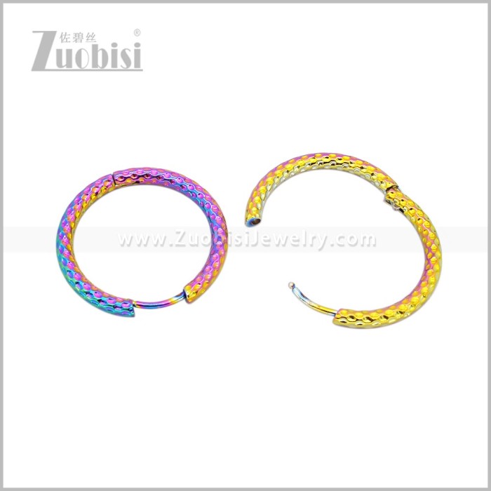 Stainless Steel Earring e003040C