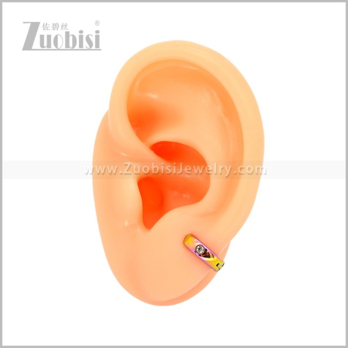 Stainless Steel Earring e003051C