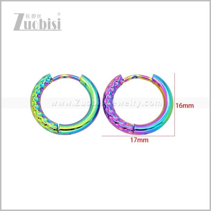 Stainless Steel Earring e003044C1