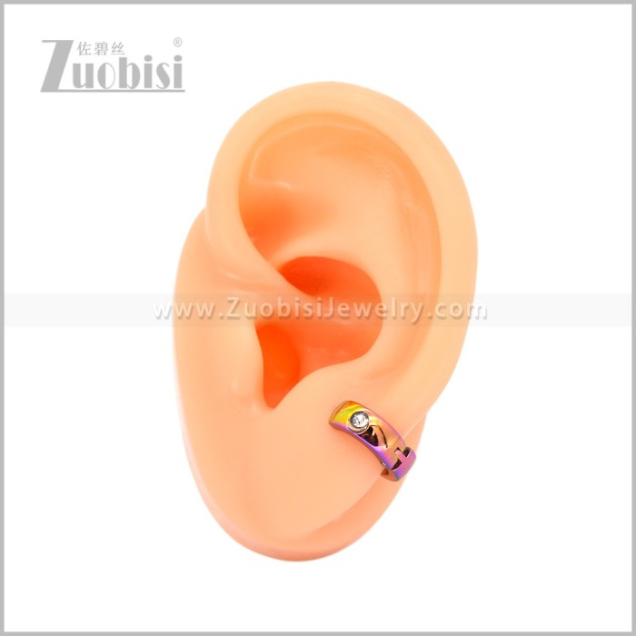 Stainless Steel Earring e003039C1