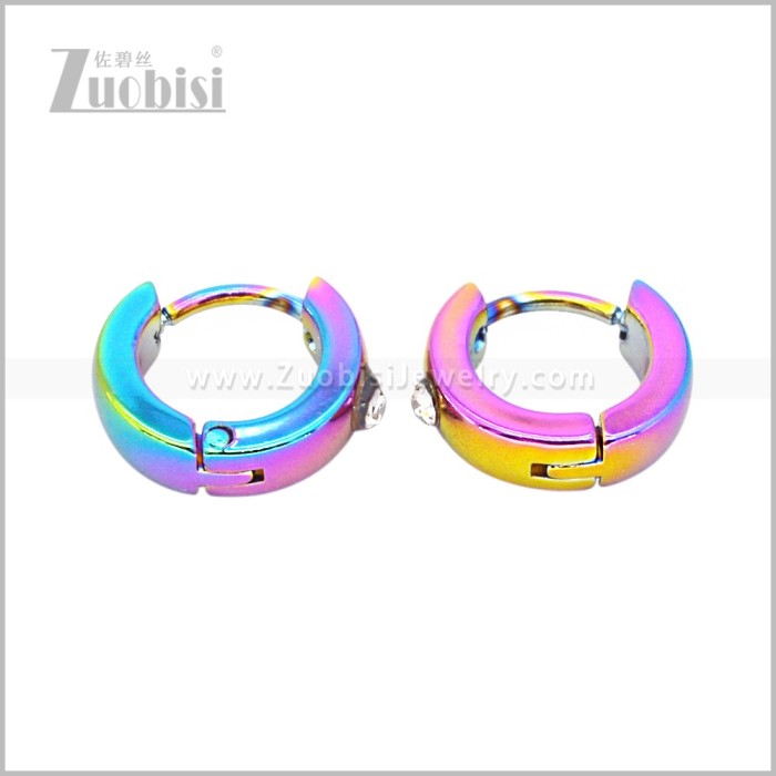 Stainless Steel Earring e003051C