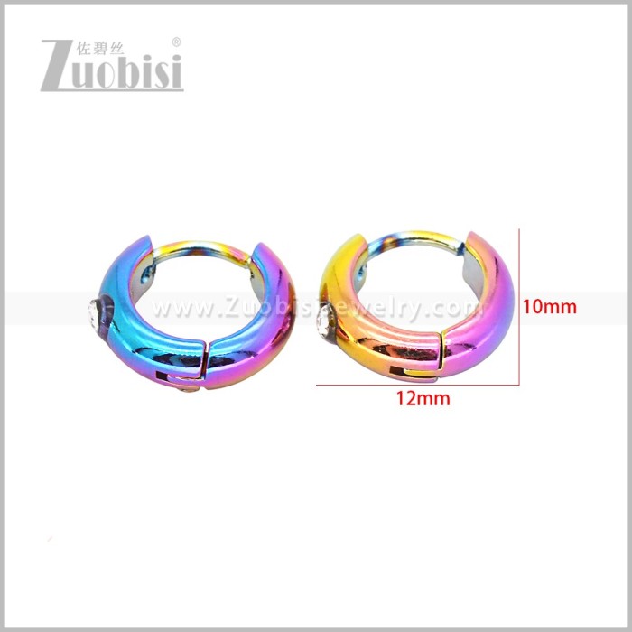 Stainless Steel Earring e003059C1