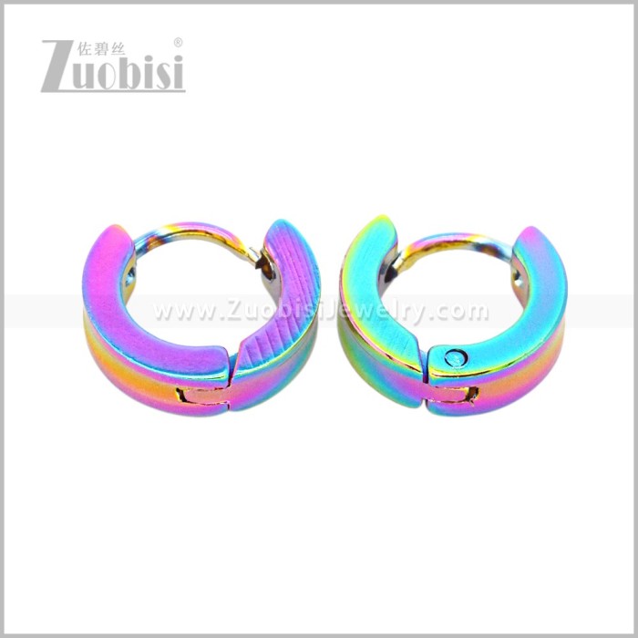 Stainless Steel Earring e003066C