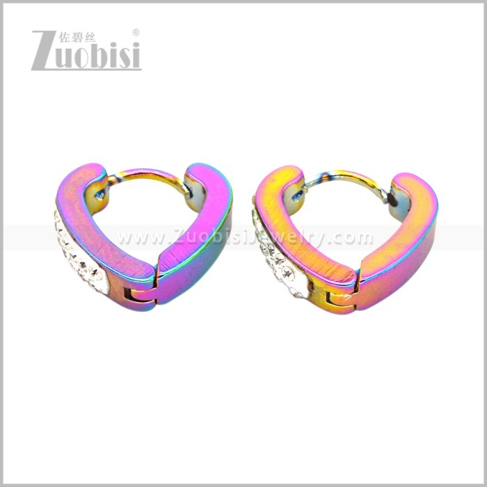 Stainless Steel Earring e003082C