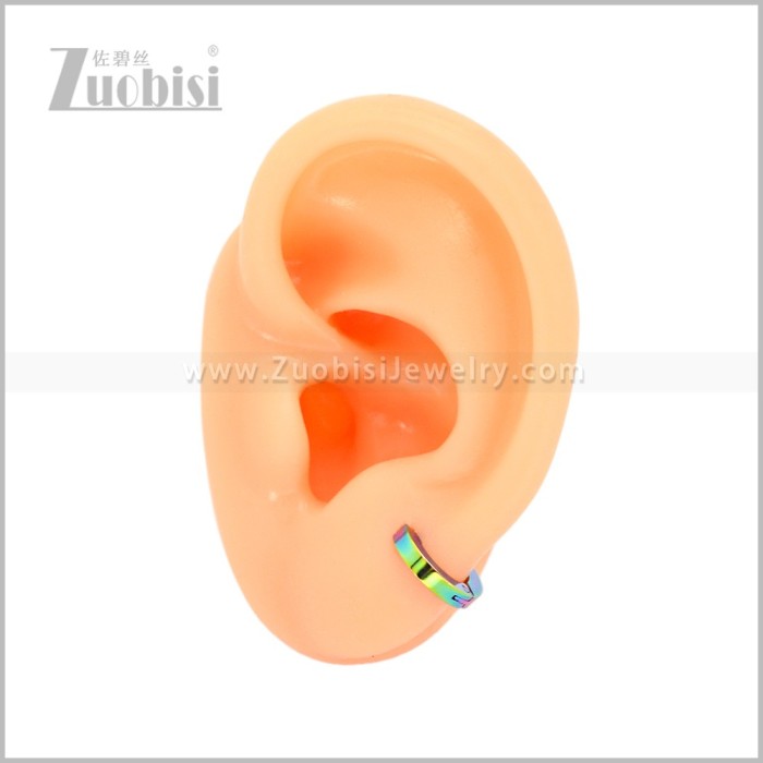 Stainless Steel Earring e003062C1