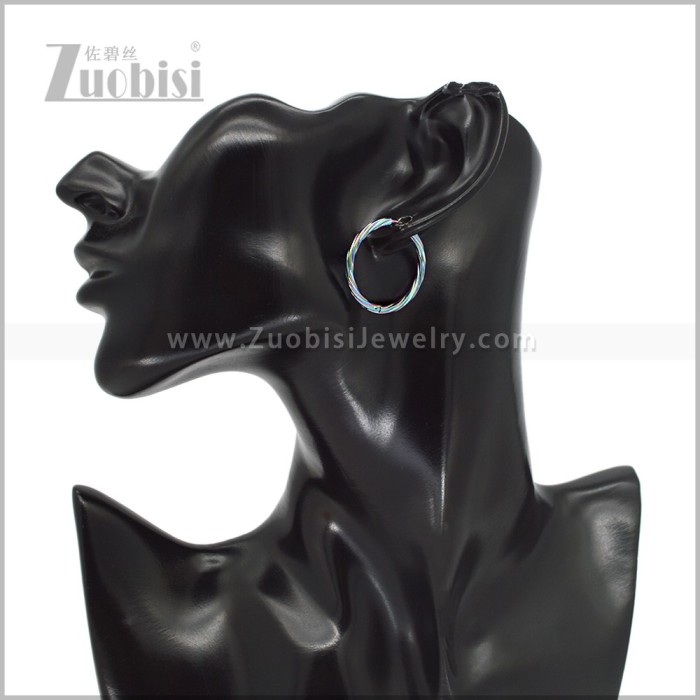 Stainless Steel Earring e003058C2