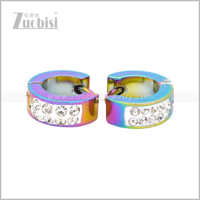 Stainless Steel Earring e003041C