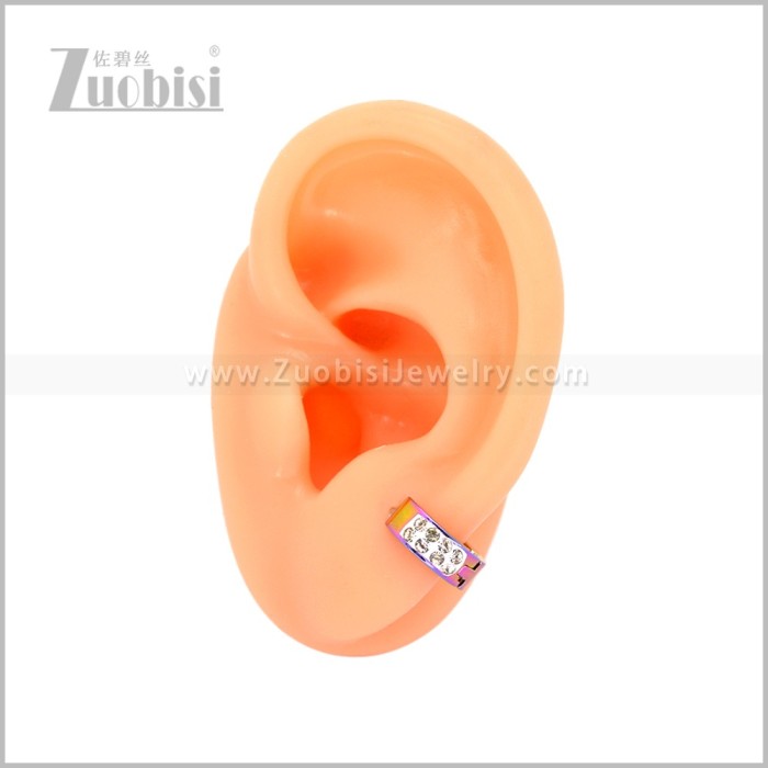 Stainless Steel Earring e003041C