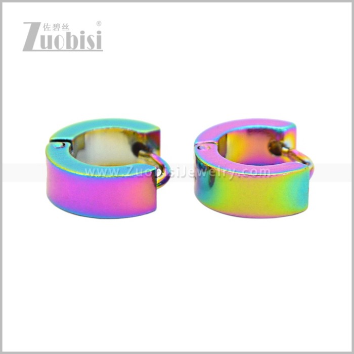 Stainless Steel Earring e003062C5