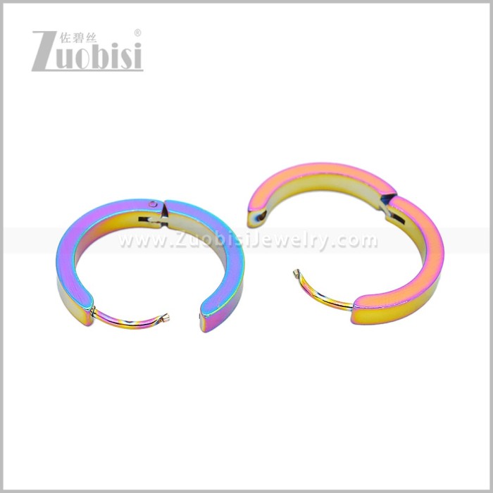 Stainless Steel Earring e003061C2