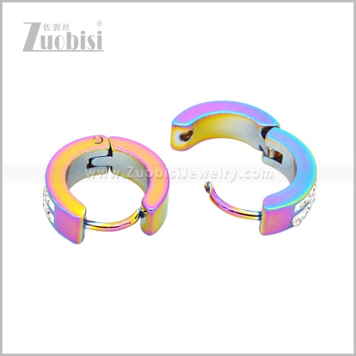 Stainless Steel Earring e003056C