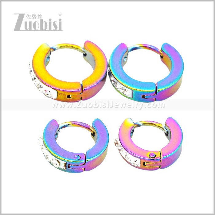 Stainless Steel Earring e003064C2
