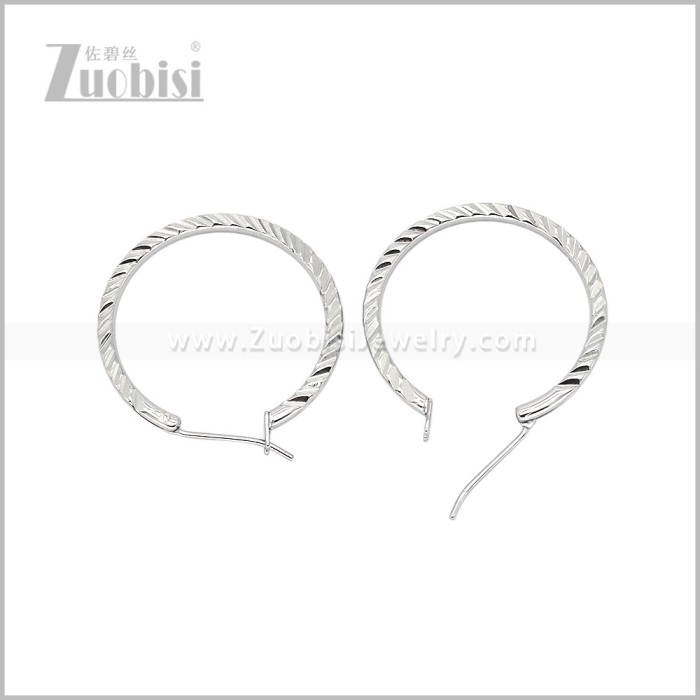 Stainless Steel Earring e003096S