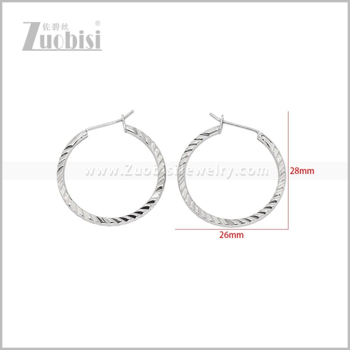 Stainless Steel Earring e003096S