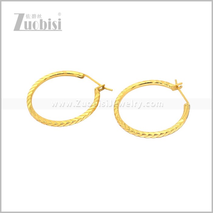 Stainless Steel Earring e003096G