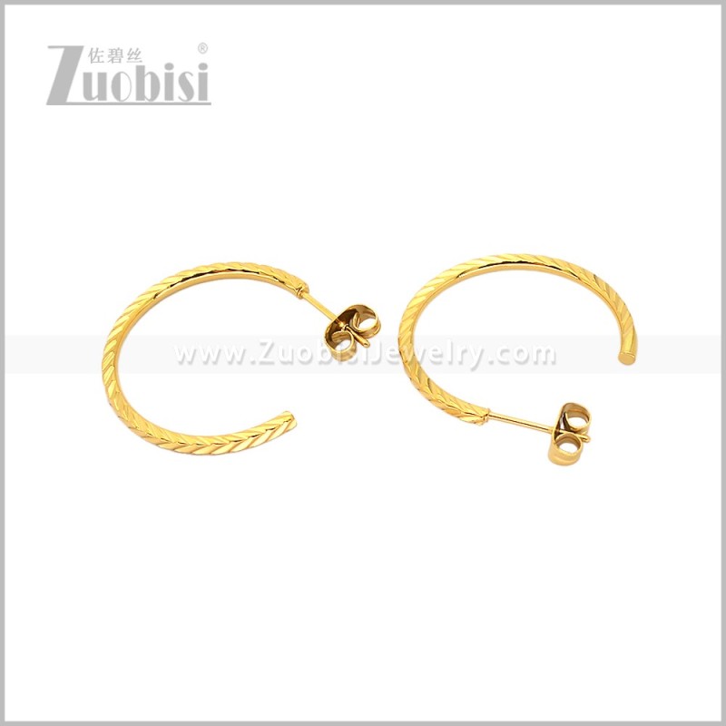 Stainless Steel Earring e003092G