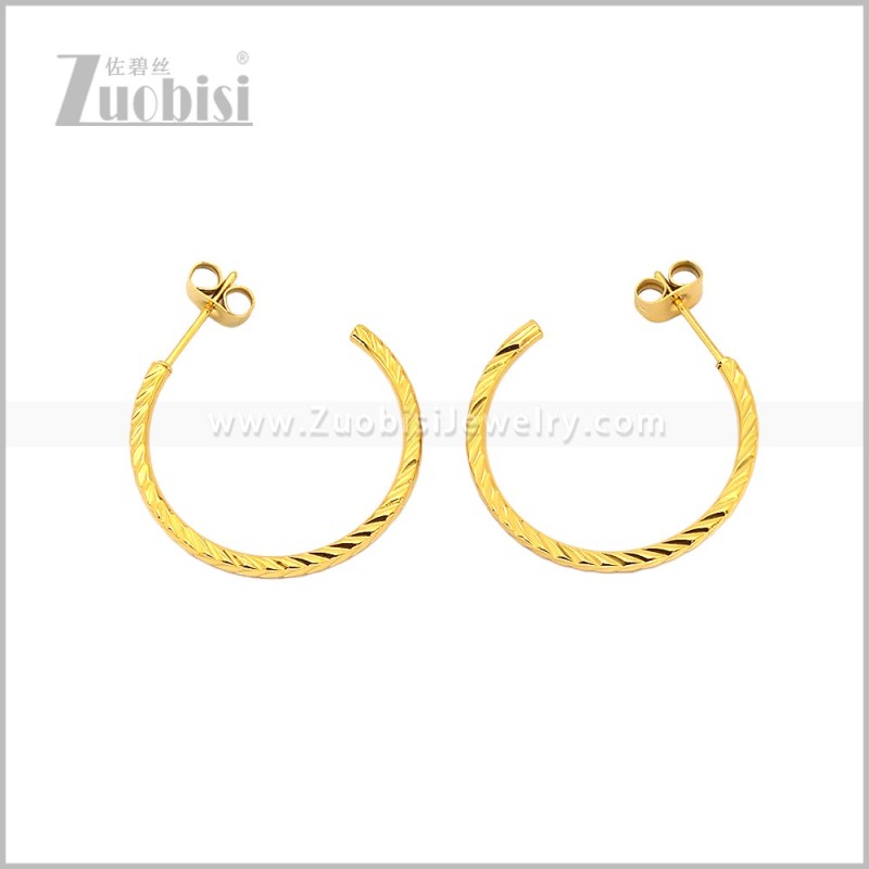 Stainless Steel Earring e003092G