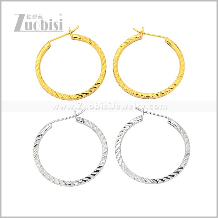 Stainless Steel Earring e003096S
