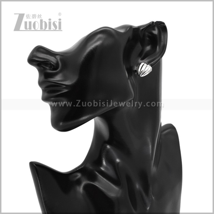 Stainless Steel Earring e003093S