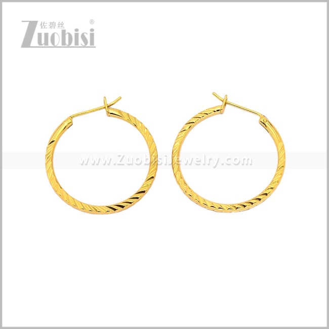 Stainless Steel Earring e003096G