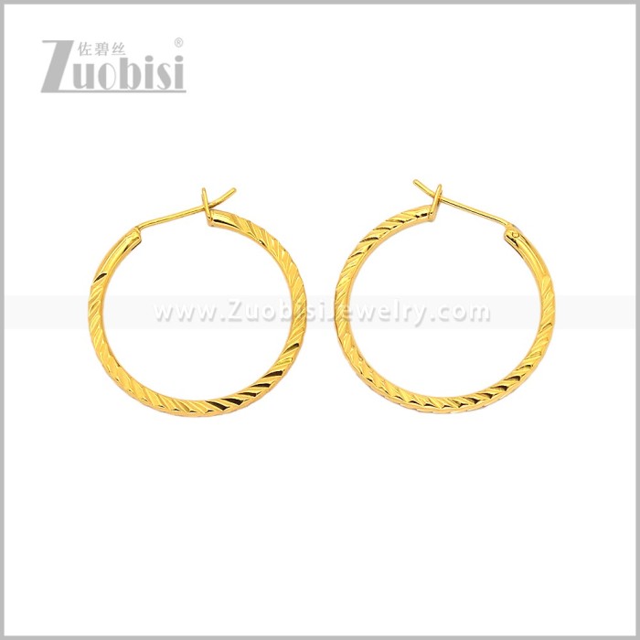 Stainless Steel Earring e003096G