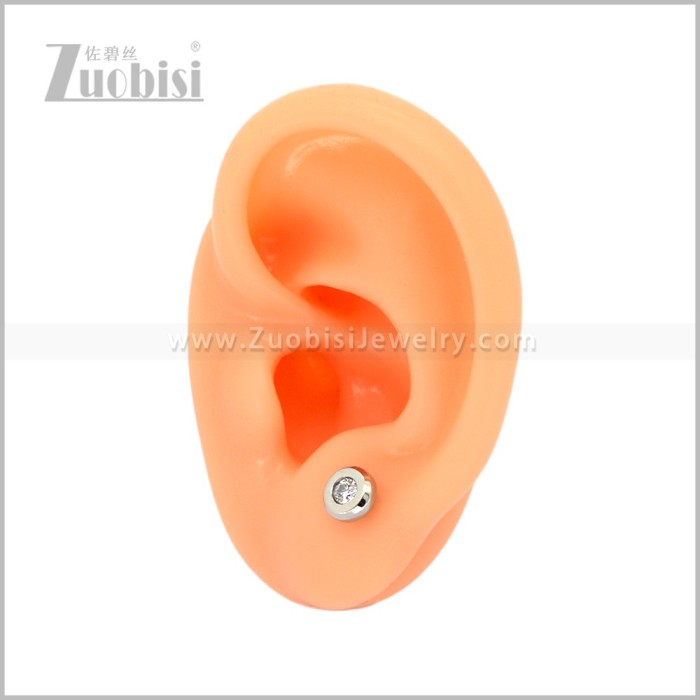 Stainless Steel Earring e003097S