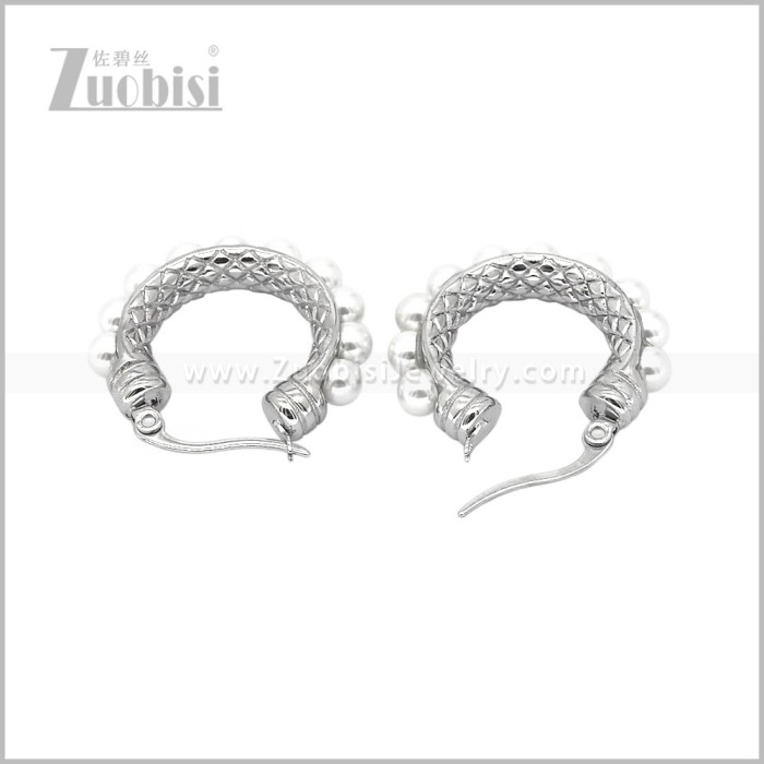 Stainless Steel Earring e003098S