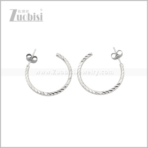 Stainless Steel Earring e003092S