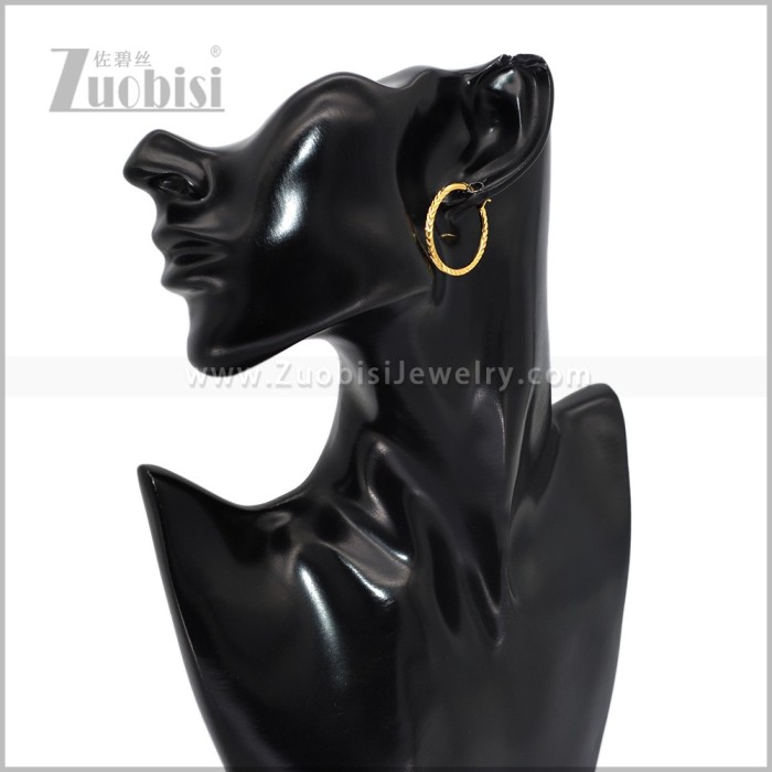 Stainless Steel Earring e003096G