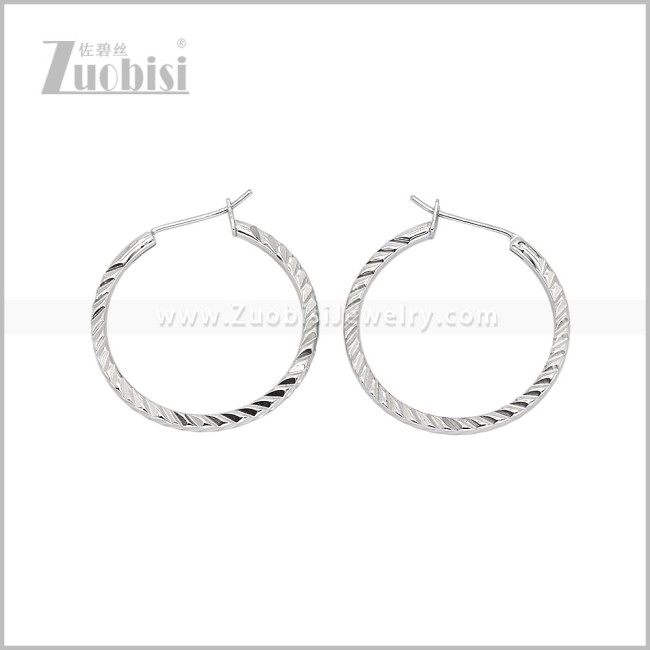 Stainless Steel Earring e003096S