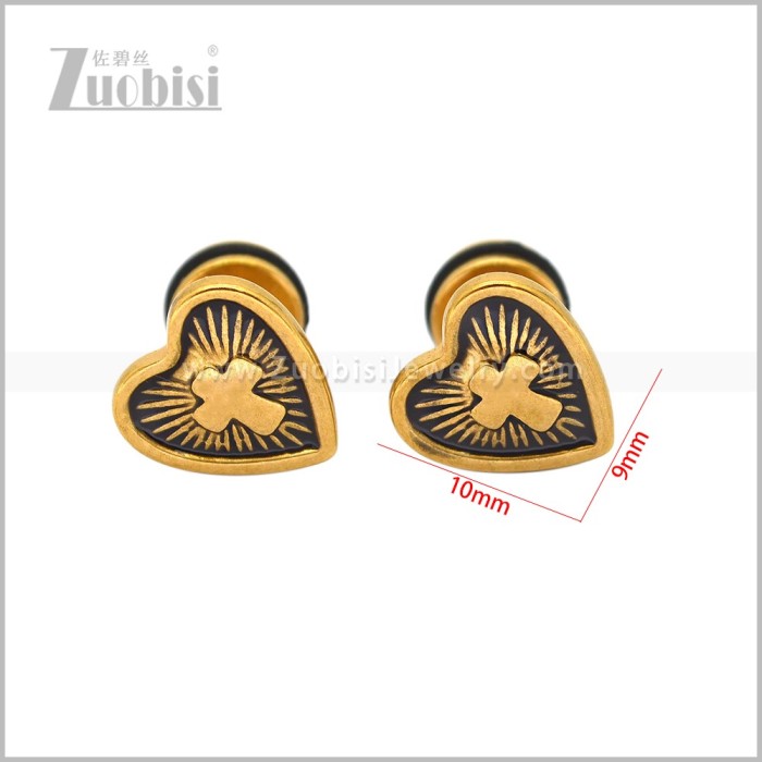 Stainless Steel Earring e003099G