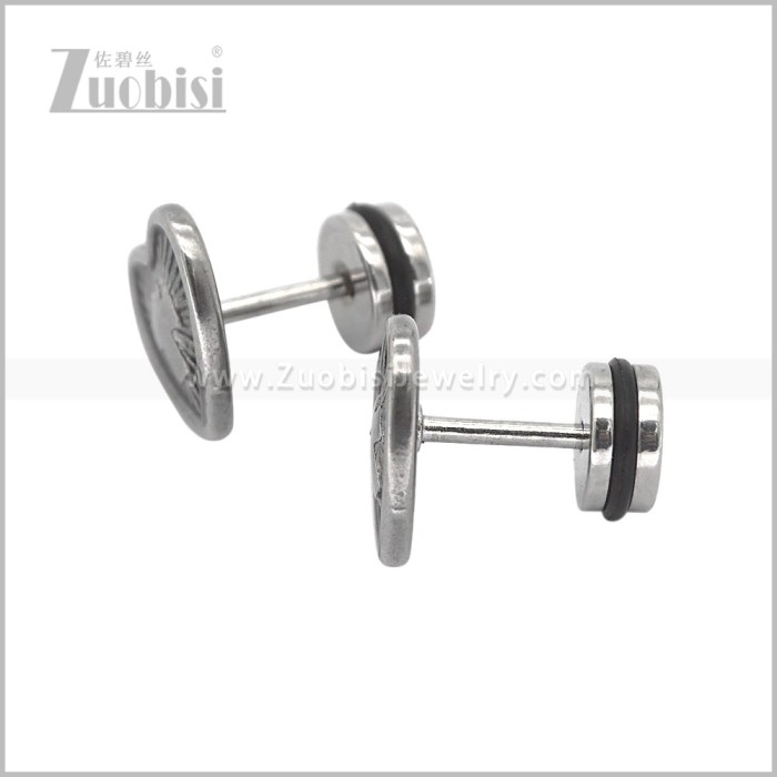 Stainless Steel Earring e003099S