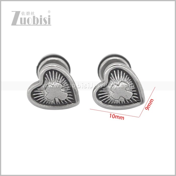 Stainless Steel Earring e003099S