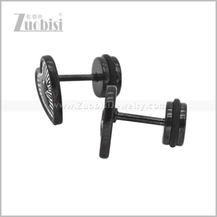 Stainless Steel Earring e003099H