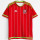 2015-2016 Wales home Retro Jersey Thailand Quality