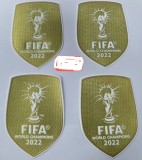2022 World Cup Champion Argentina