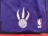 多伦多猛龙 Toronto Raptors Mitchell Ness Version Purple Dragon Pants