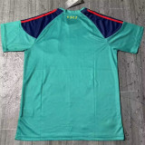 2010 Spain (Goalkeeper) Retro Jersey Thailand Quality