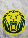 24-25 Cameroun (Special Edition) Player Version Thailand Quality