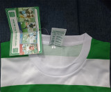 66-77 Celtic home Retro Jersey Thailand Quality
