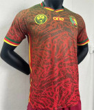 24-25 Cameroun (Special Edition) Player Version Thailand Quality