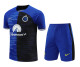 24-25 Inter milan (Training clothes) Set.Jersey & Short High Quality