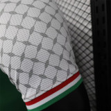 24-25 Palestine Player Version Thailand Quality