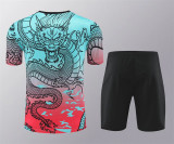 24-25 Real Madrid (Training clothes) Set.Jersey & Short High Quality
