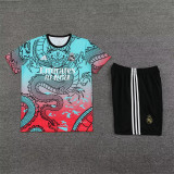 24-25 Real Madrid (Training clothes) Set.Jersey & Short High Quality