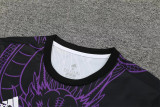 24-25 Real Madrid (Training clothes) Set.Jersey & Short High Quality