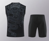 Copy 24-25 Real Madrid (vest) Set.Jersey & Short High Quality