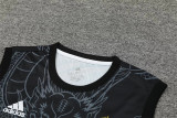 Copy 24-25 Real Madrid (vest) Set.Jersey & Short High Quality
